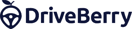 DriveBerry
